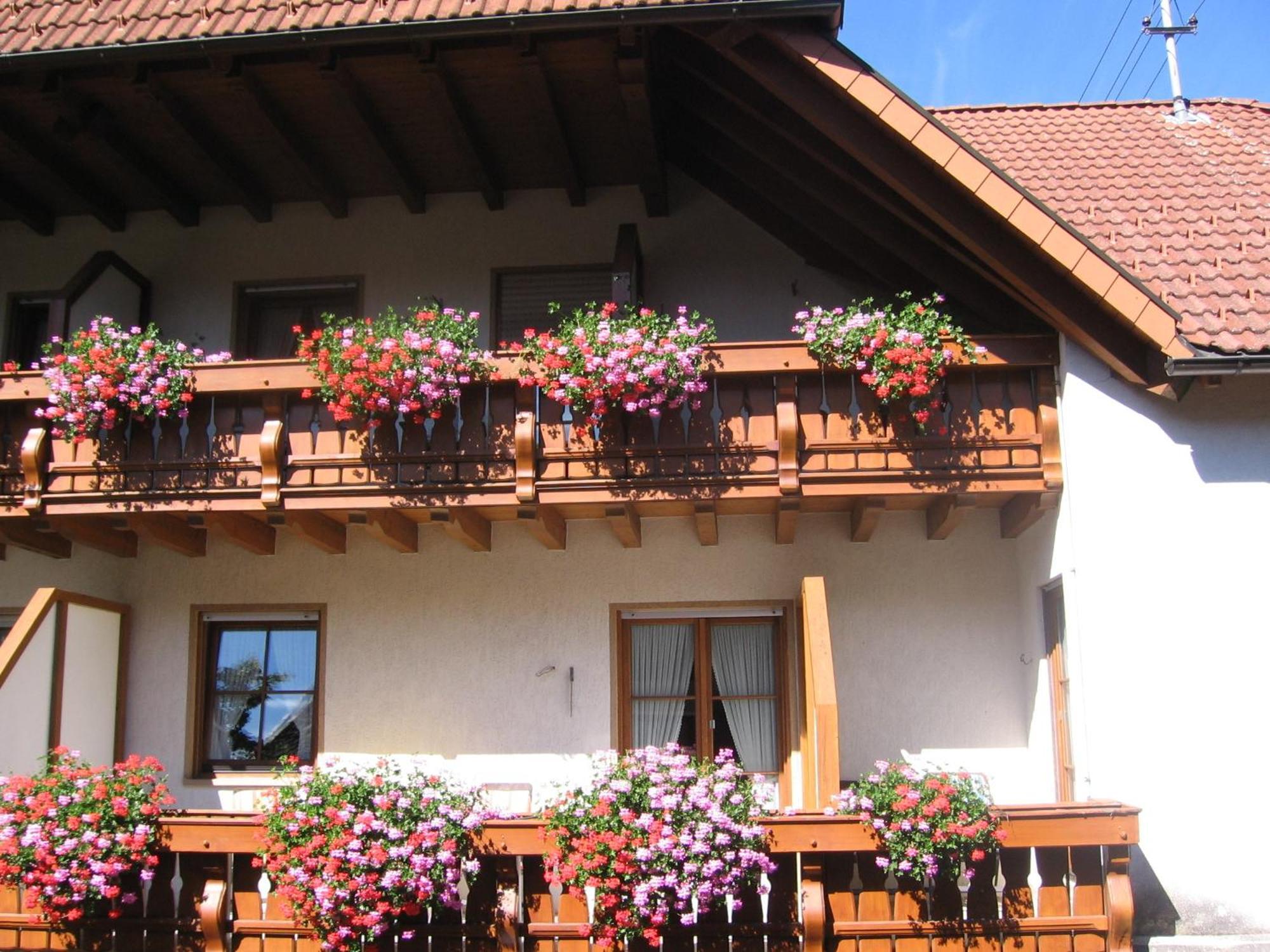Hotel Gasthaus Zum Hirschen Симонсвалд Екстериор снимка